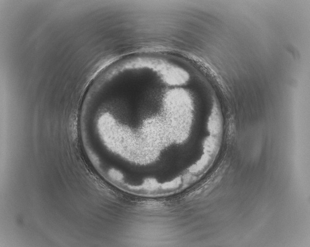 X0000115051409200912071121