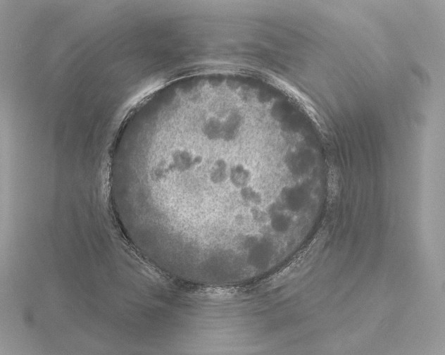 X0000115051411200912071121