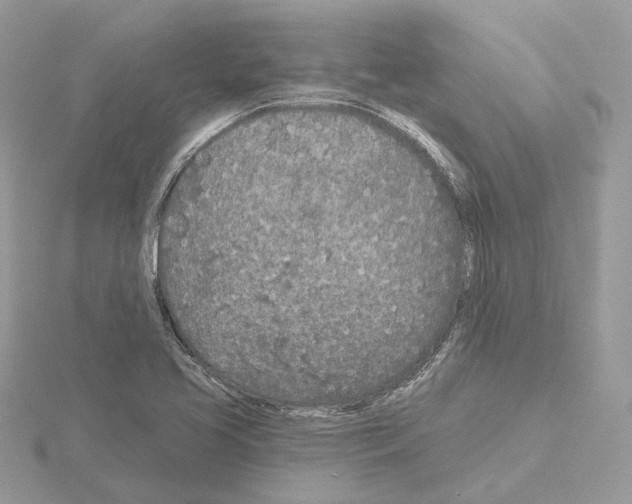 X0000115051413200912071121