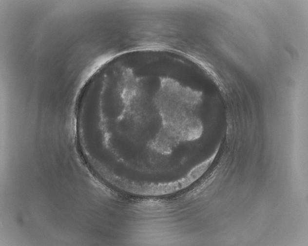 X0000115051414200912071121