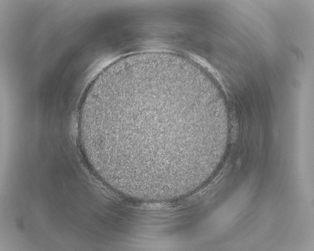 X0000115051415200912071121