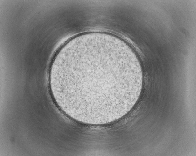 X0000115051416200912071121