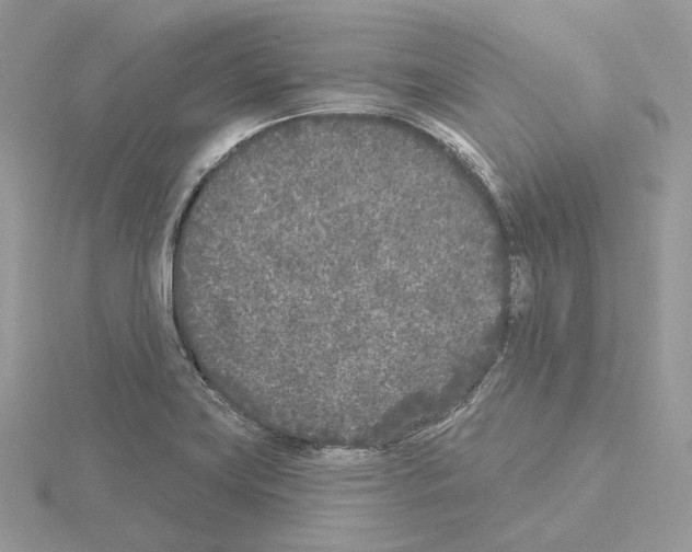 X0000115051419200912071121