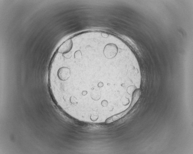 X0000115051420200912071121