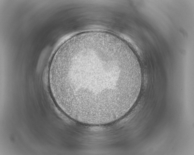 X0000115051421200912071121