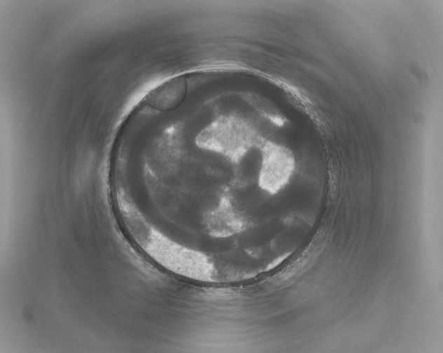 X0000115051422200912071121