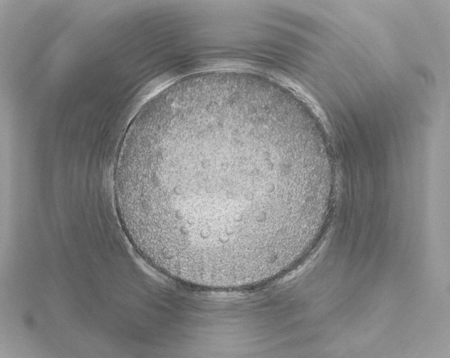 X0000115051425200912071121