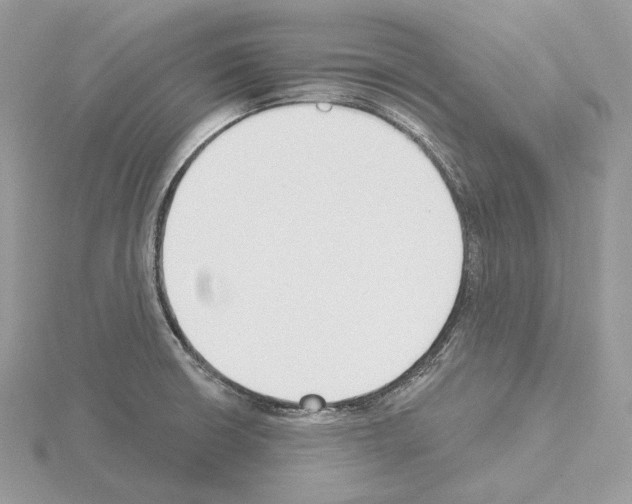 X0000115051426200912071121