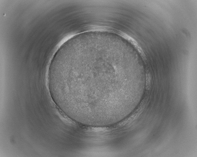 X0000115051427200912071121