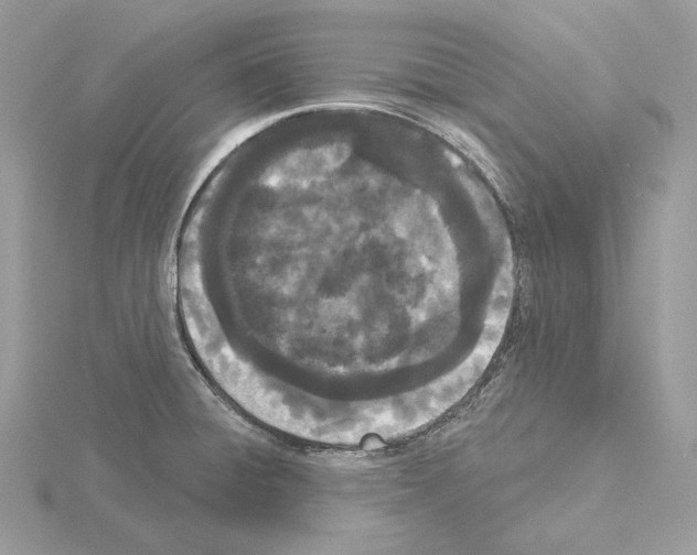 X0000115051428200912071121