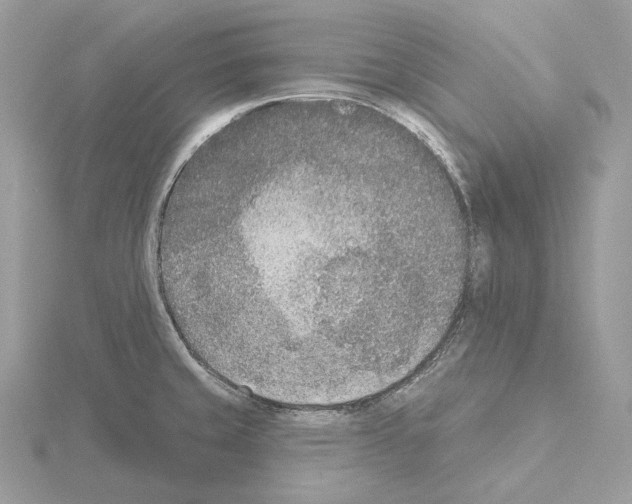 X0000115051429200912071121