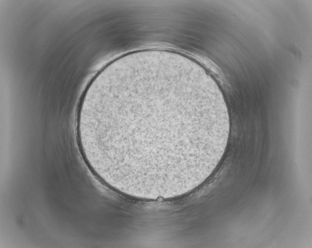 X0000115051430200912071121