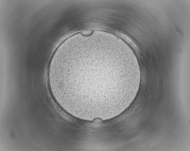 X0000115051431200912071121