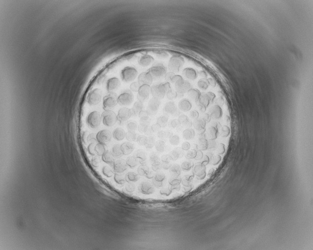 X0000115051432200912071121