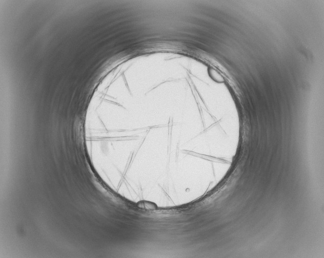 X0000115051433200912071121