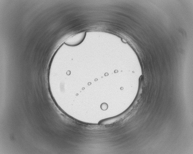 X0000115051434200912071121