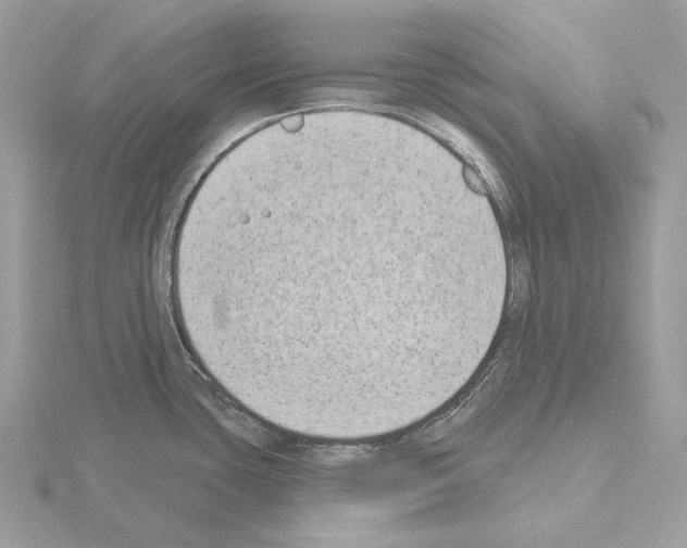 X0000115051435200912071121