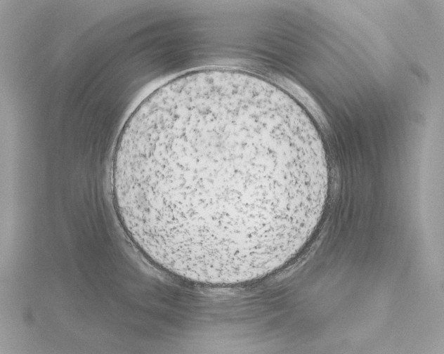 X0000115051436200912071121