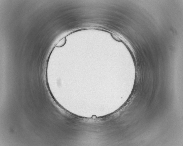 X0000115051437200912071121