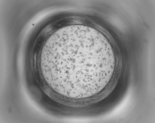 X0000115051439200912071121