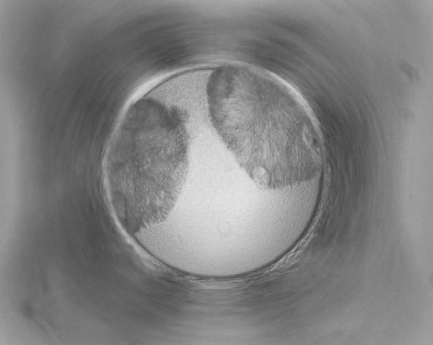 X0000115051440200912071121