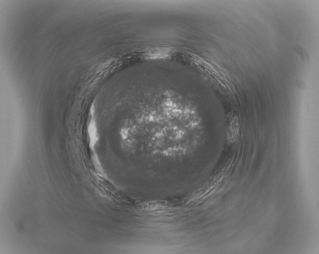 X0000115051441200912071120