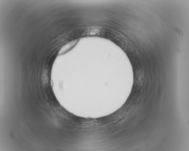 X0000115051442200912071120