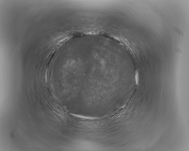 X0000115051444200912071120