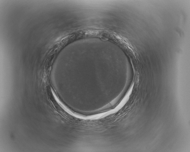 X0000115051445200912071120