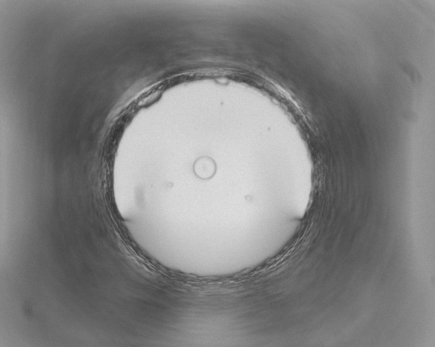 X0000115051448200912071120