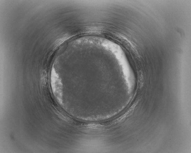 X0000115051449200912071120