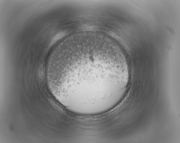 X0000115051450200912071120