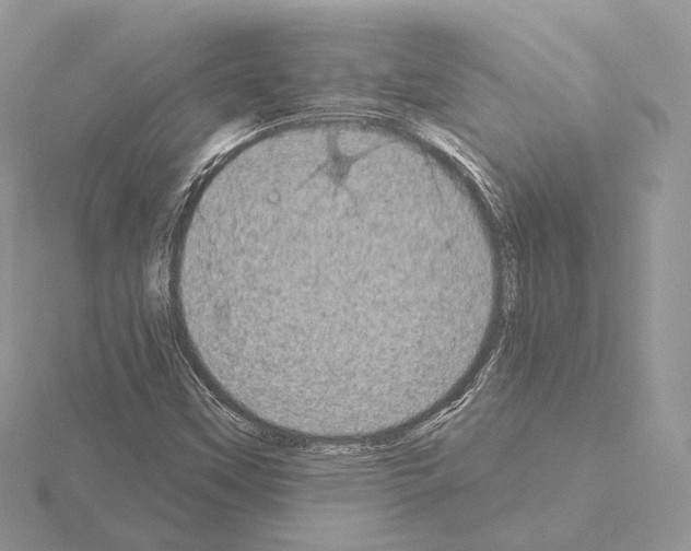 X0000115051451200912071120