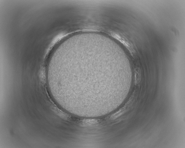 X0000115051454200912071120