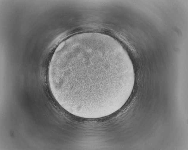 X0000115051455200912071120