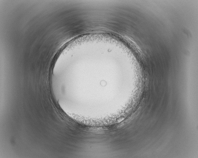 X0000115051457200912071120