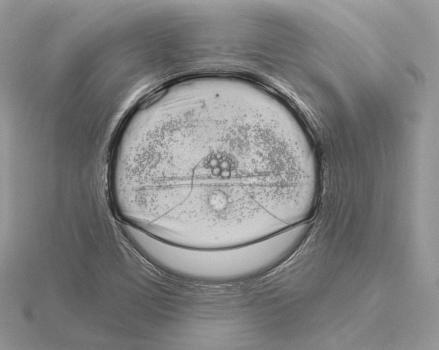 X0000115051459200912071120