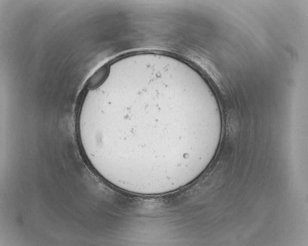 X0000115051460200912071120