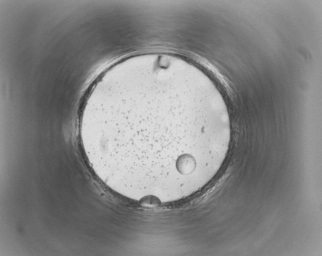 X0000115051461200912071120