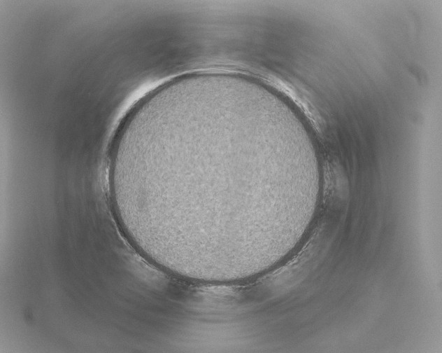 X0000115051462200912071120