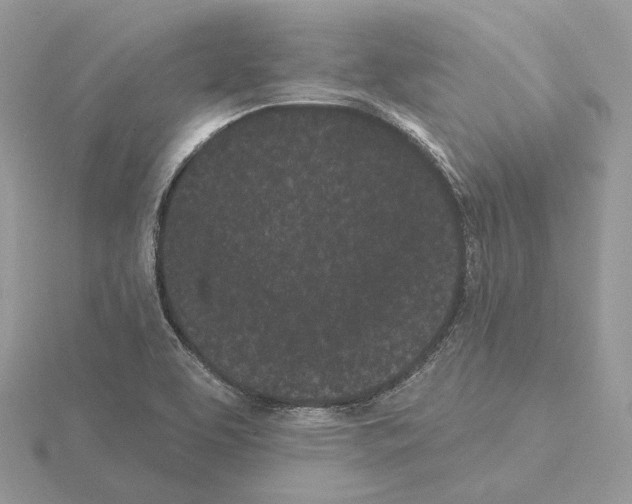 X0000115051463200912071120