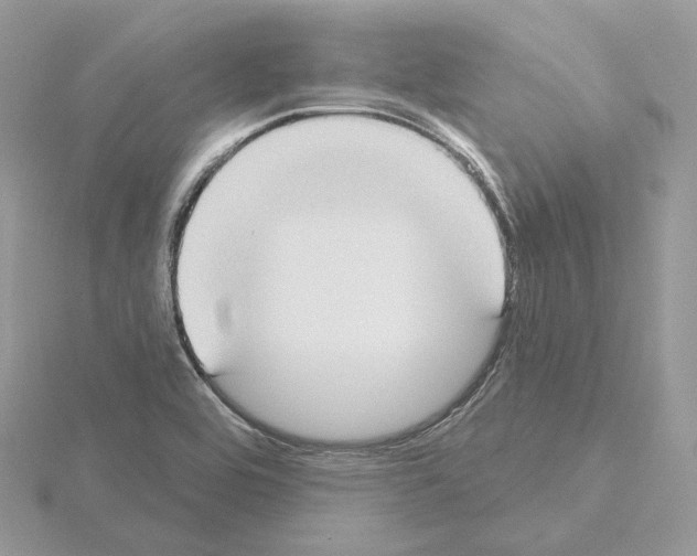 X0000115051464200912071120