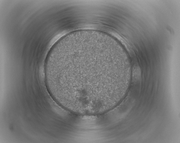 X0000115051466200912071120