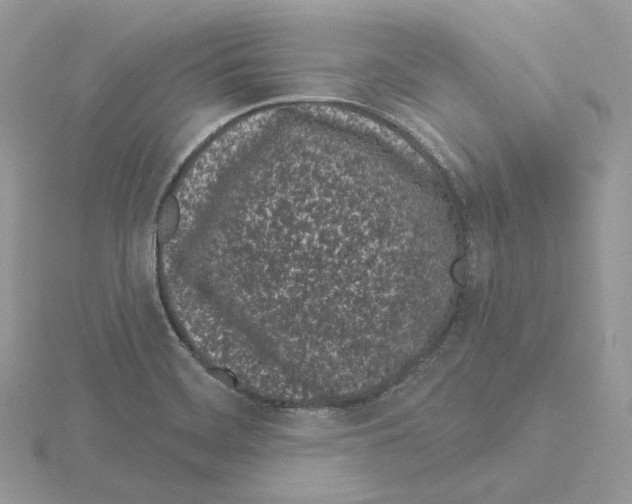 X0000115051468200912071120