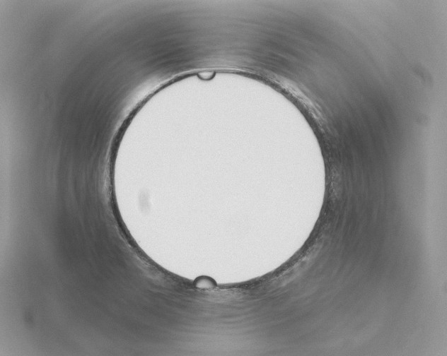 X0000115051469200912071120