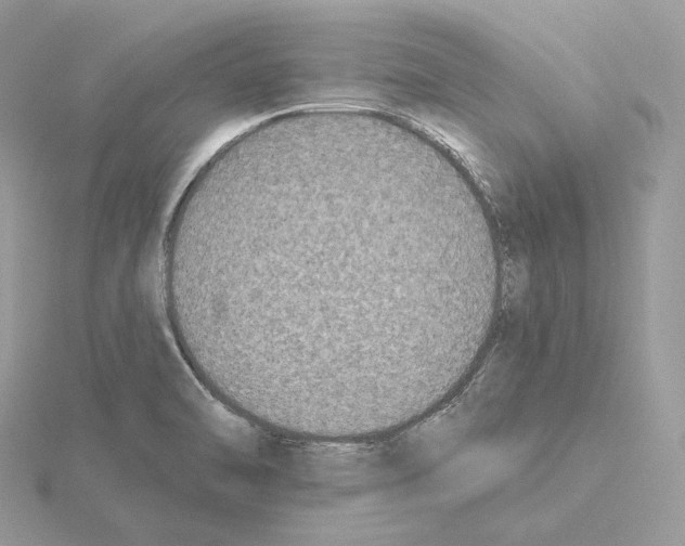 X0000115051470200912071120