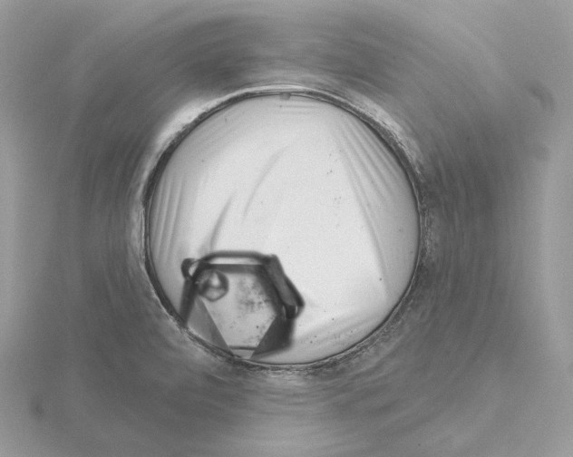 X0000115051472200912071120