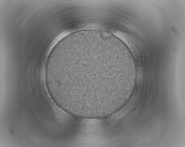 X0000115051474200912071120