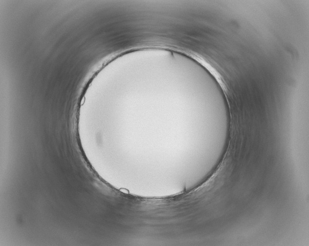 X0000115051477200912071120