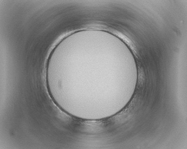 X0000115051478200912071120